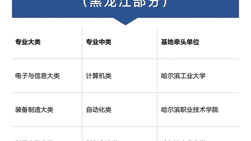 少儿编程教师资质要求